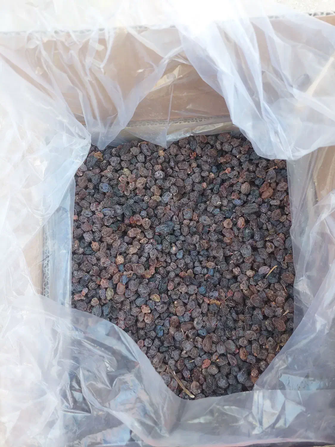 کشمش آفتابی پلویی|عمده‌فروشی|ساوه, |دیوار