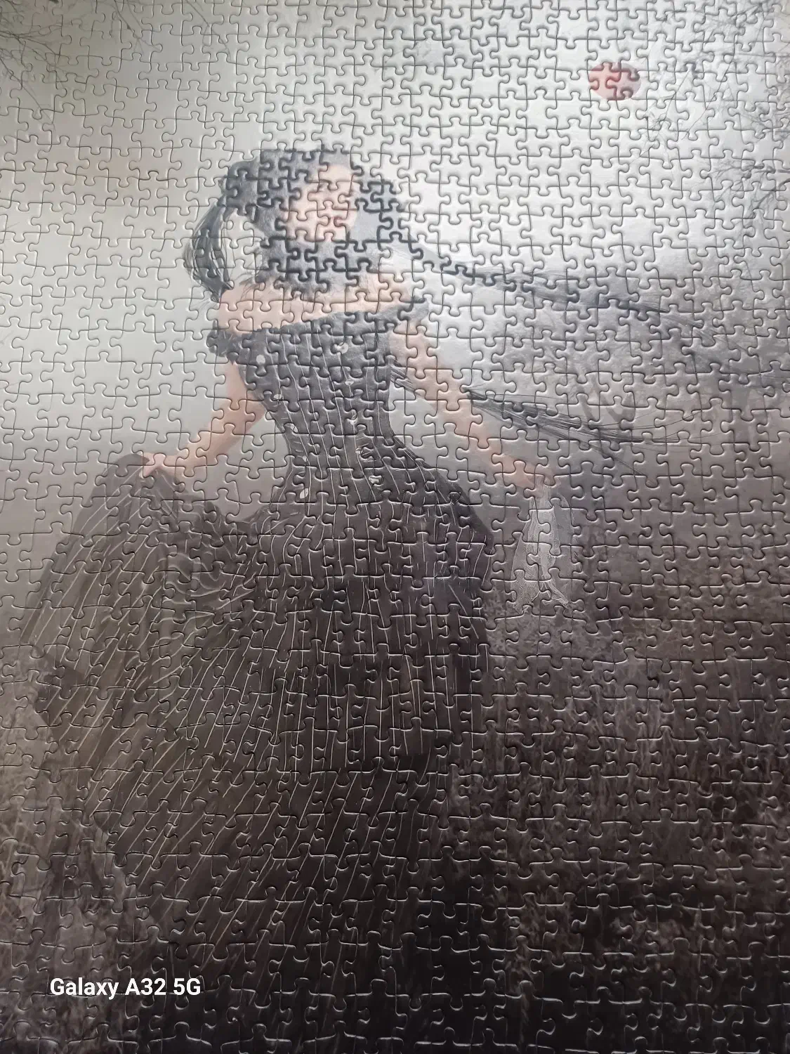 پازل|کلکسیون و سرگرمی|چمستان, |دیوار