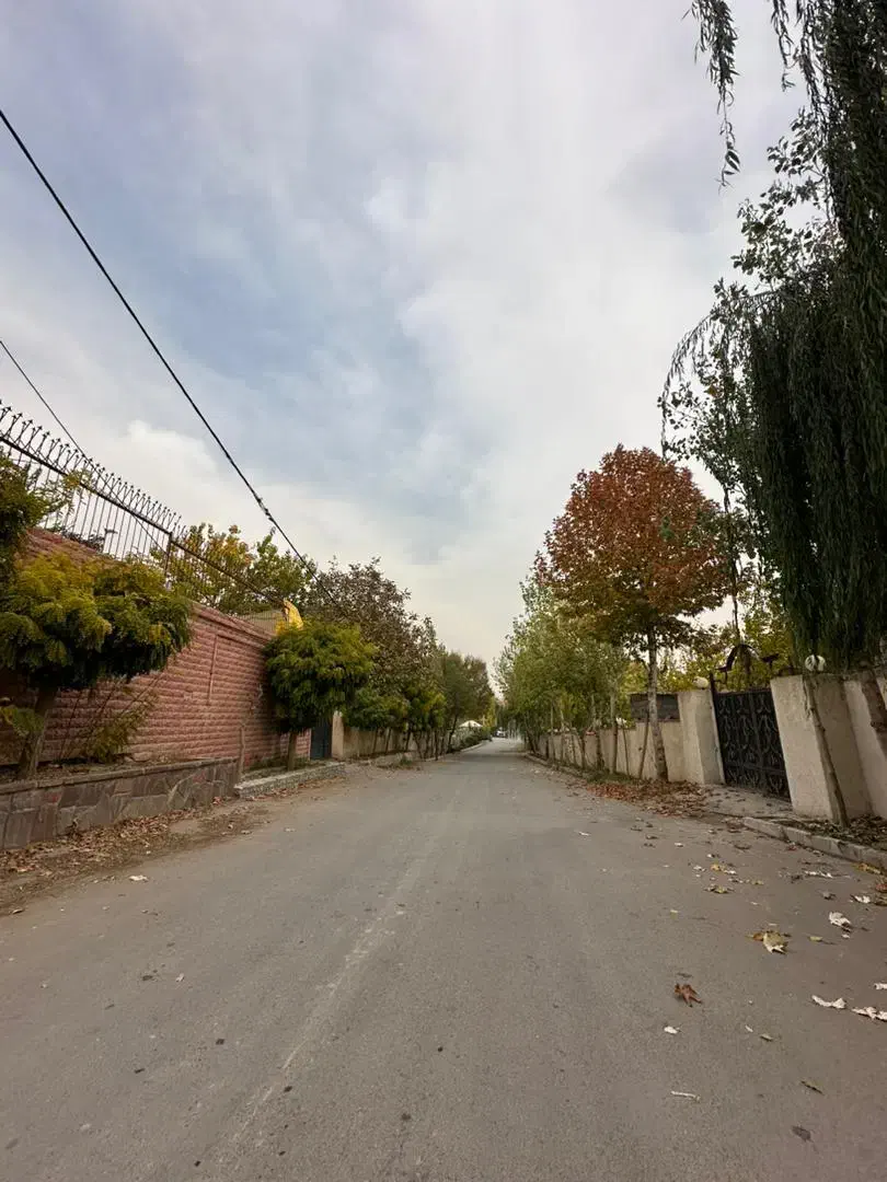 فروش زمین کردان (کوشک زر)|فروش زمین و ملک کلنگی|هشتگرد, کوشک زر|دیوار