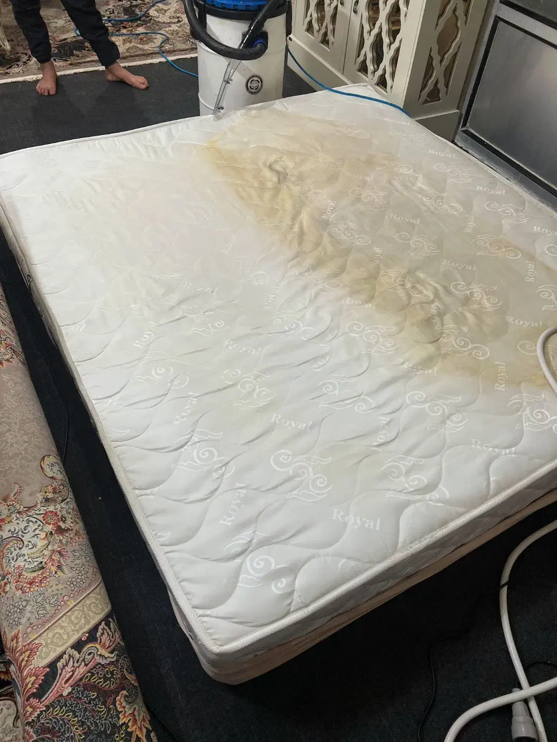 مبل شویی نوآوران نانو|خدمات نظافت|رامسر, |دیوار