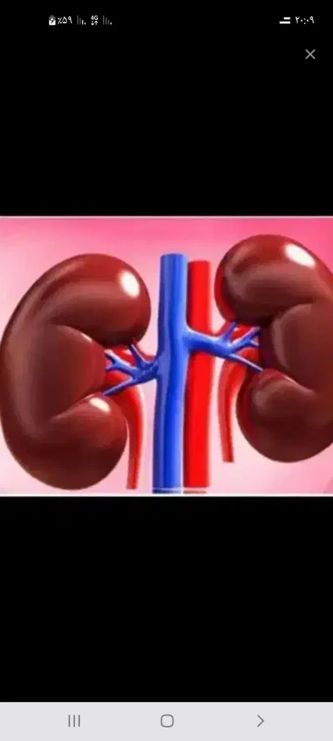 اهدا|فعالیت داوطلبانه تحقیقاتی|باغستان, |دیوار