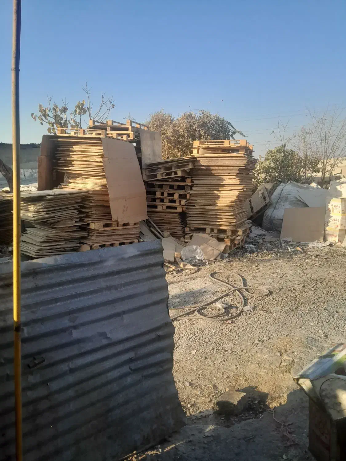 نئوپان|عمده‌فروشی|کرج, گلدشت|دیوار