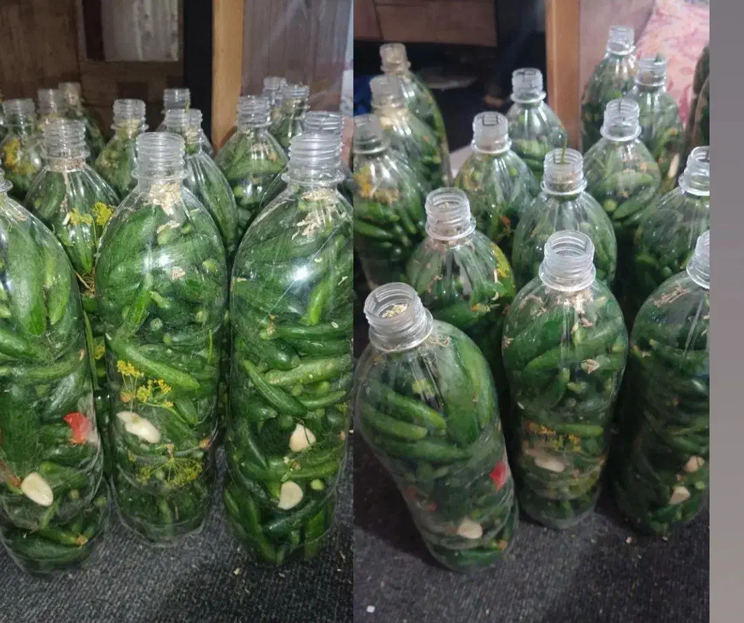 فروش خیارشور بطری|عمدهفروشی|رزن, |دیوار