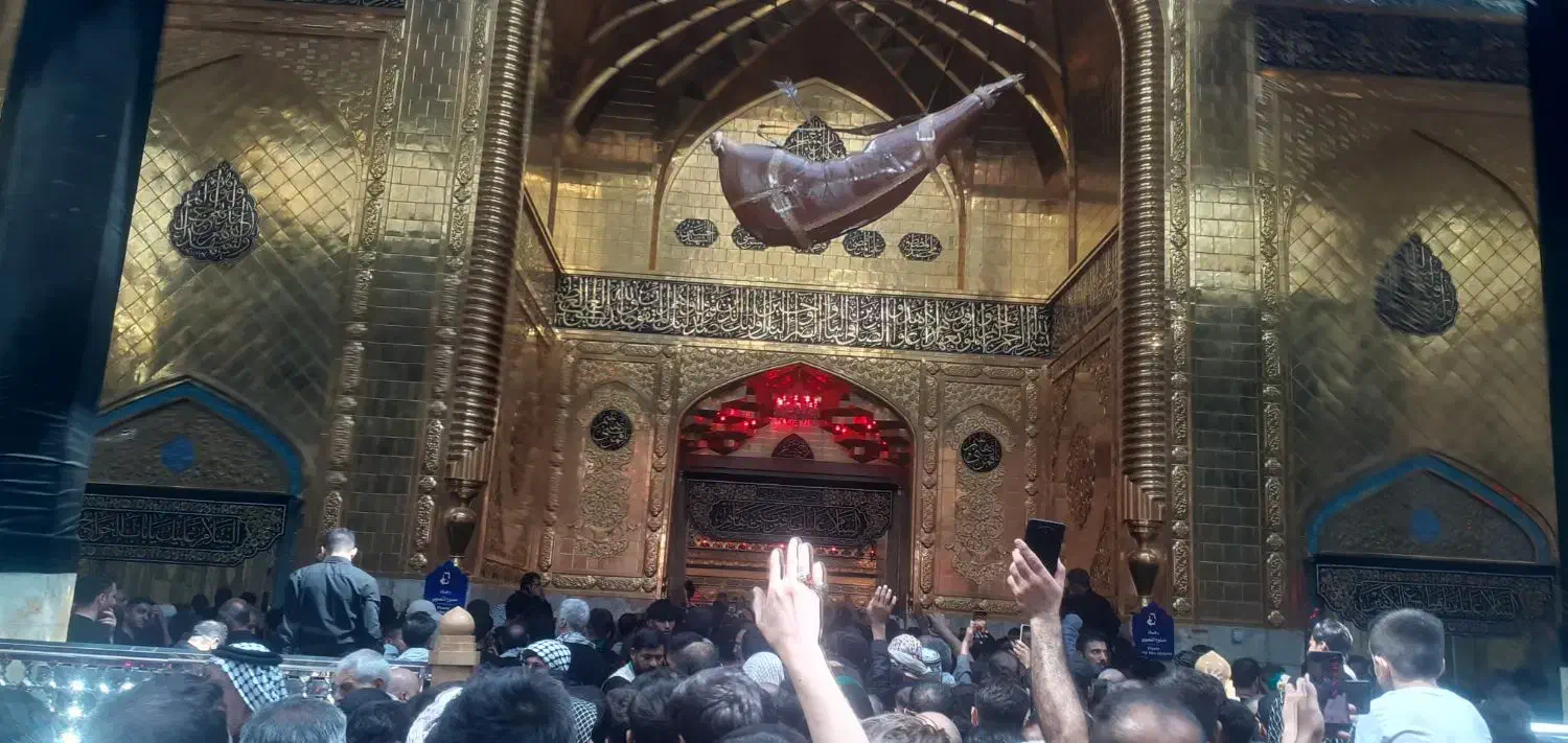 بناه‌وکاگرساده‌|خدمات پیشه و مهارت|زنجان, |دیوار