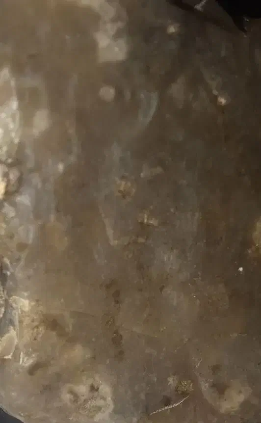 کهربا|کلکسیون اشیاء عتیقه|پاکدشت, شهرک امام رضا|دیوار