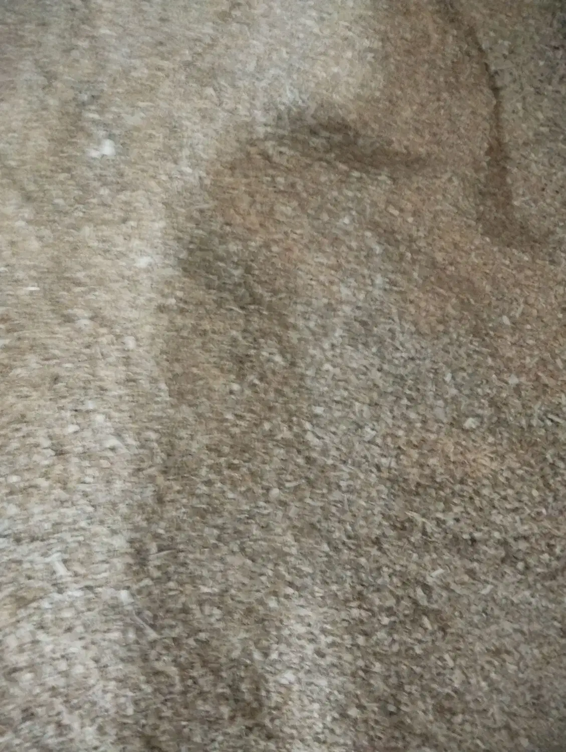 خاک اره چوب|لوازم جانبی حیوانات|مشهد, نوید|دیوار