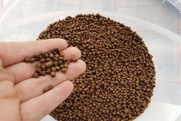 غذای ماهی گیاهخوار و گوشت خوار و گوپی و مولی|ماهی|شیراز, نصر|دیوار
