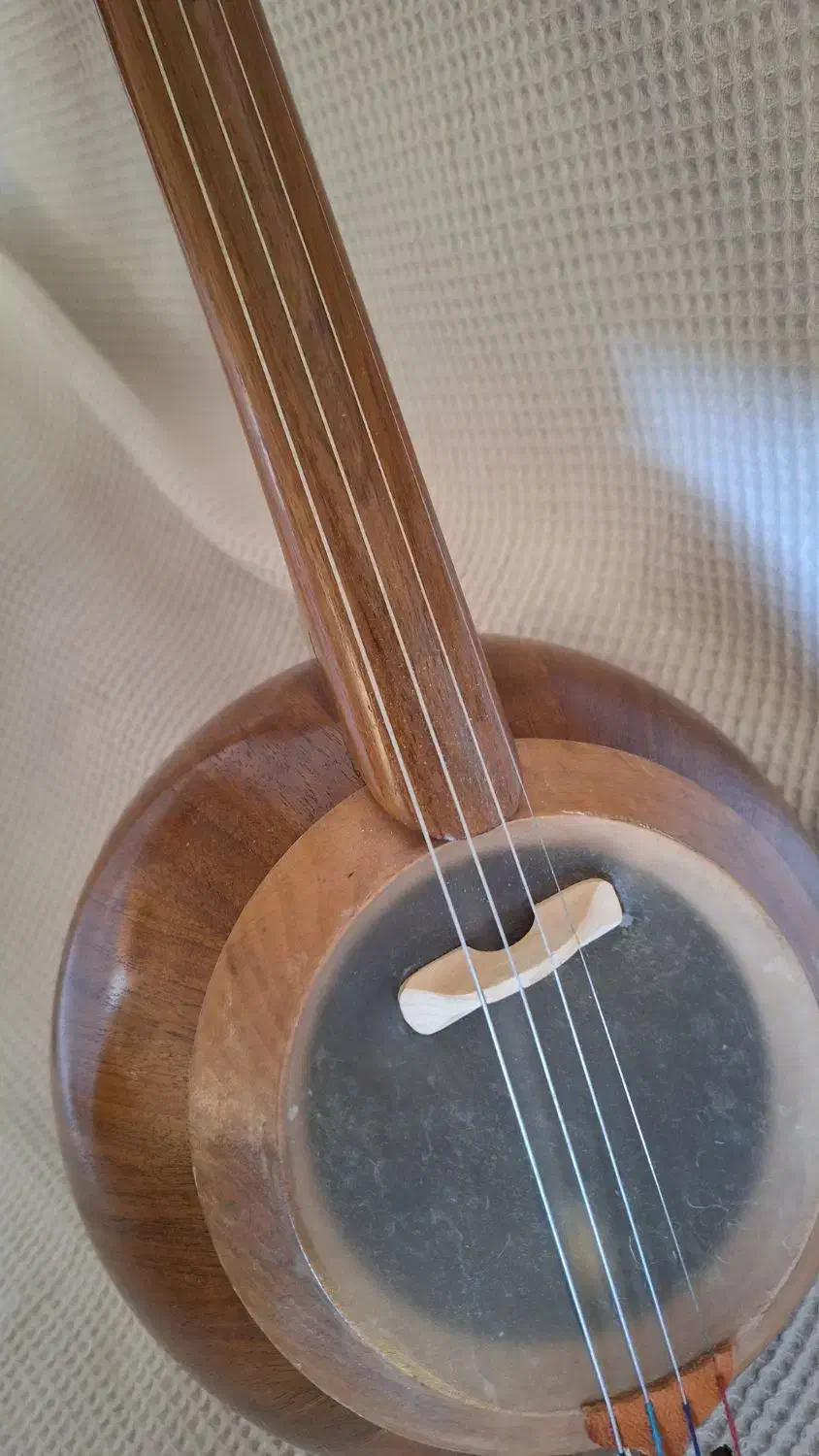 ساز کمانچه|سازهای سنتی|اصفهان, بهارستان|دیوار