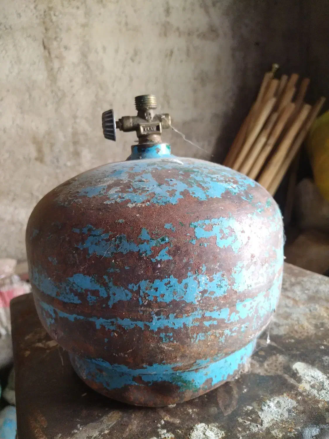 پیک نیک|اجاق گاز و لوازم برقی پختوپز|اسفرورین, |دیوار