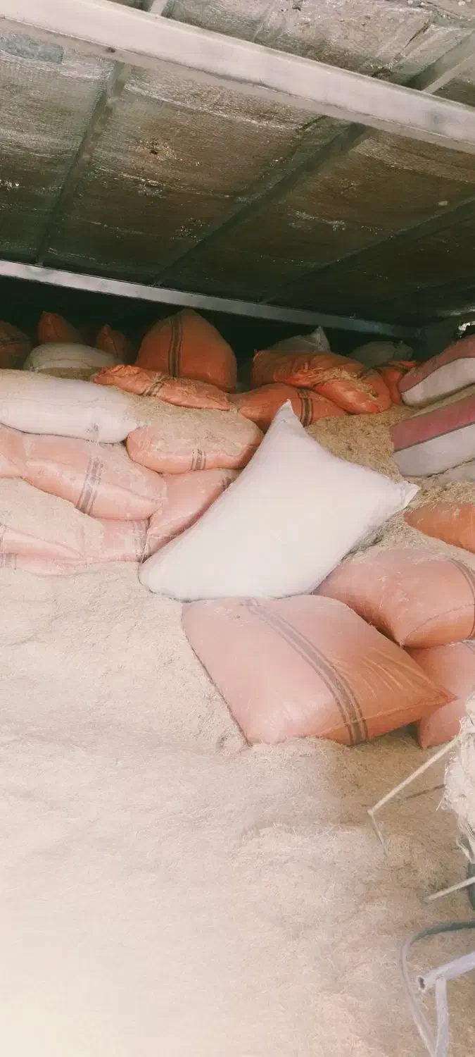 کاه گندم حدودان ۴۰ تن|عمدهفروشی|کبودرآهنگ, |دیوار