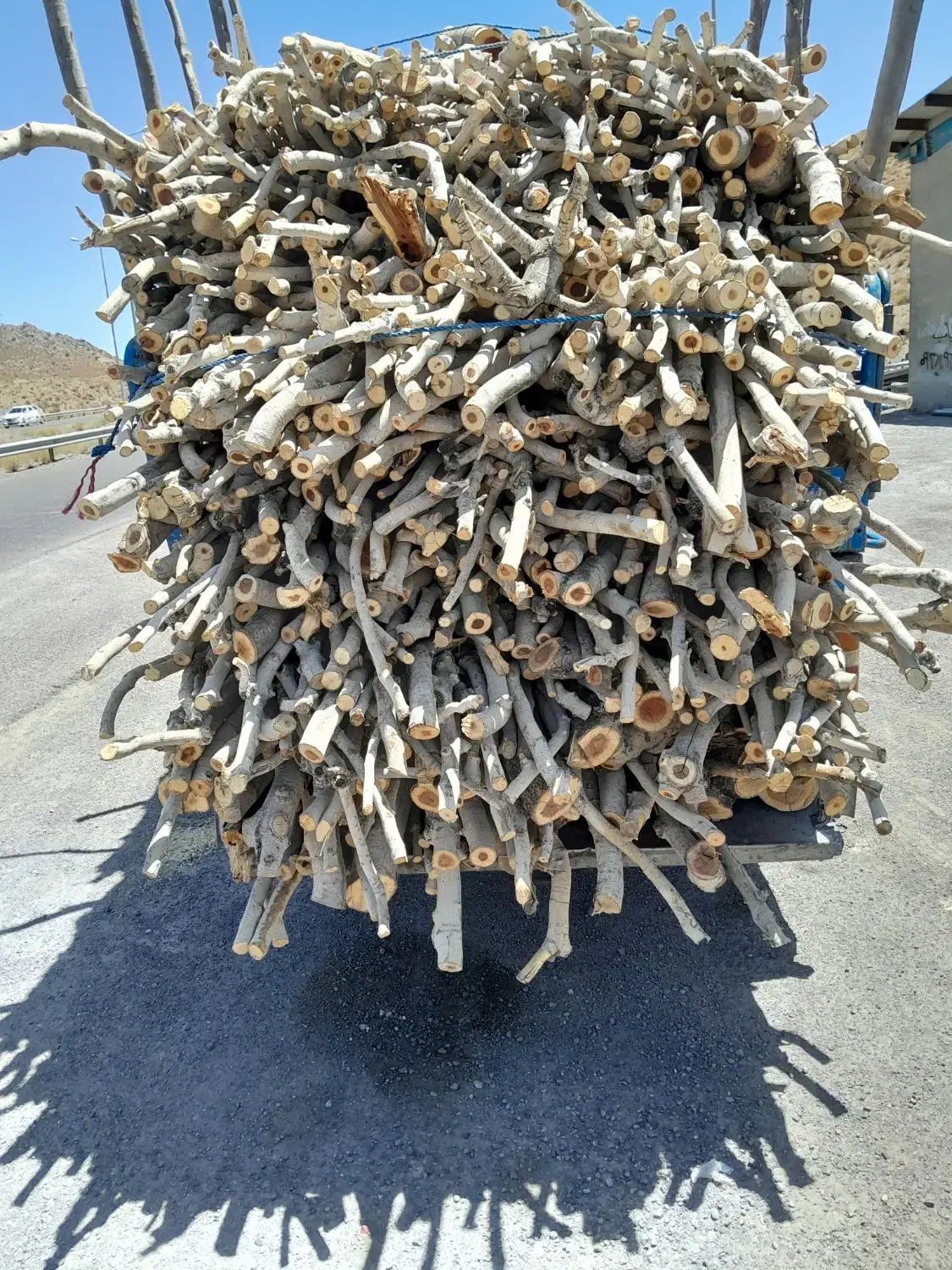 خریدانواع چوب درخت|خدمات باغبانی و درختکاری|سیرجان, |دیوار