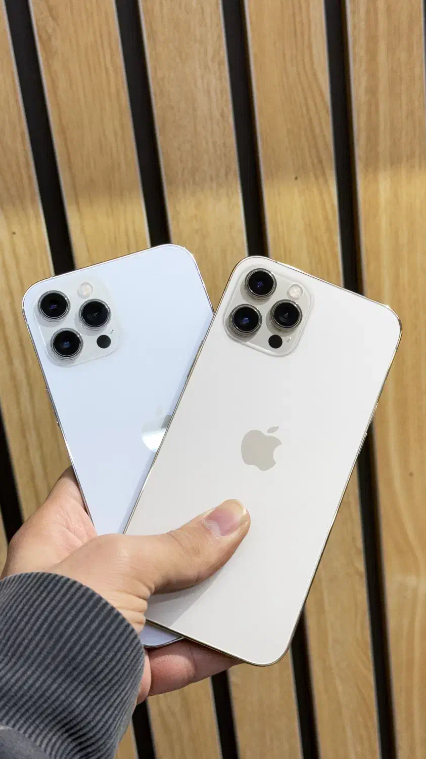 ایفون ۱۲ پرومکس|موبایل|تهران, درختی|دیوار