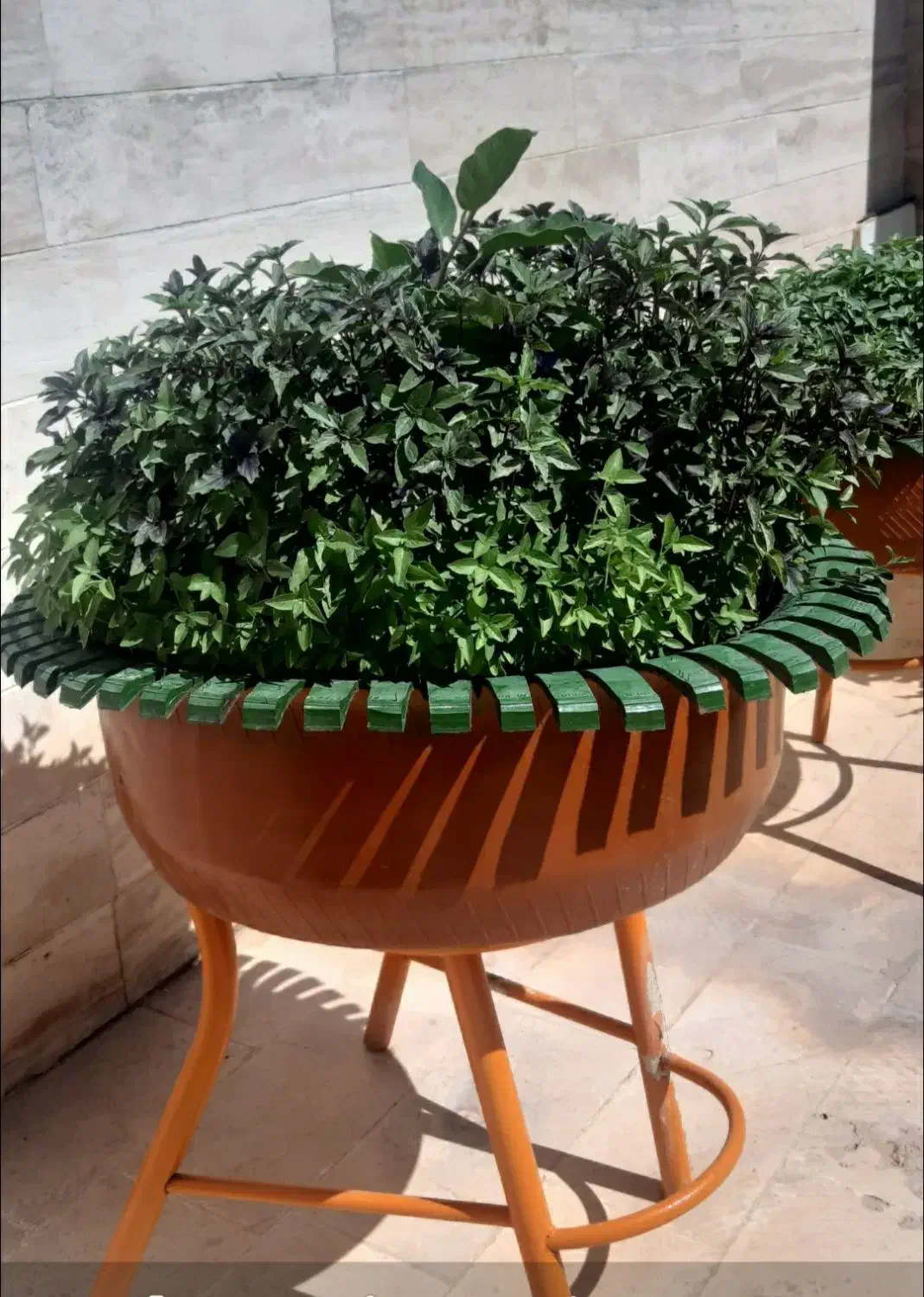 با سلام تعدادی گلدان در طرح های مختلف زیبا وجذاب|صنایع دستی و سایر لوازم تزئینی|محلات, |دیوار