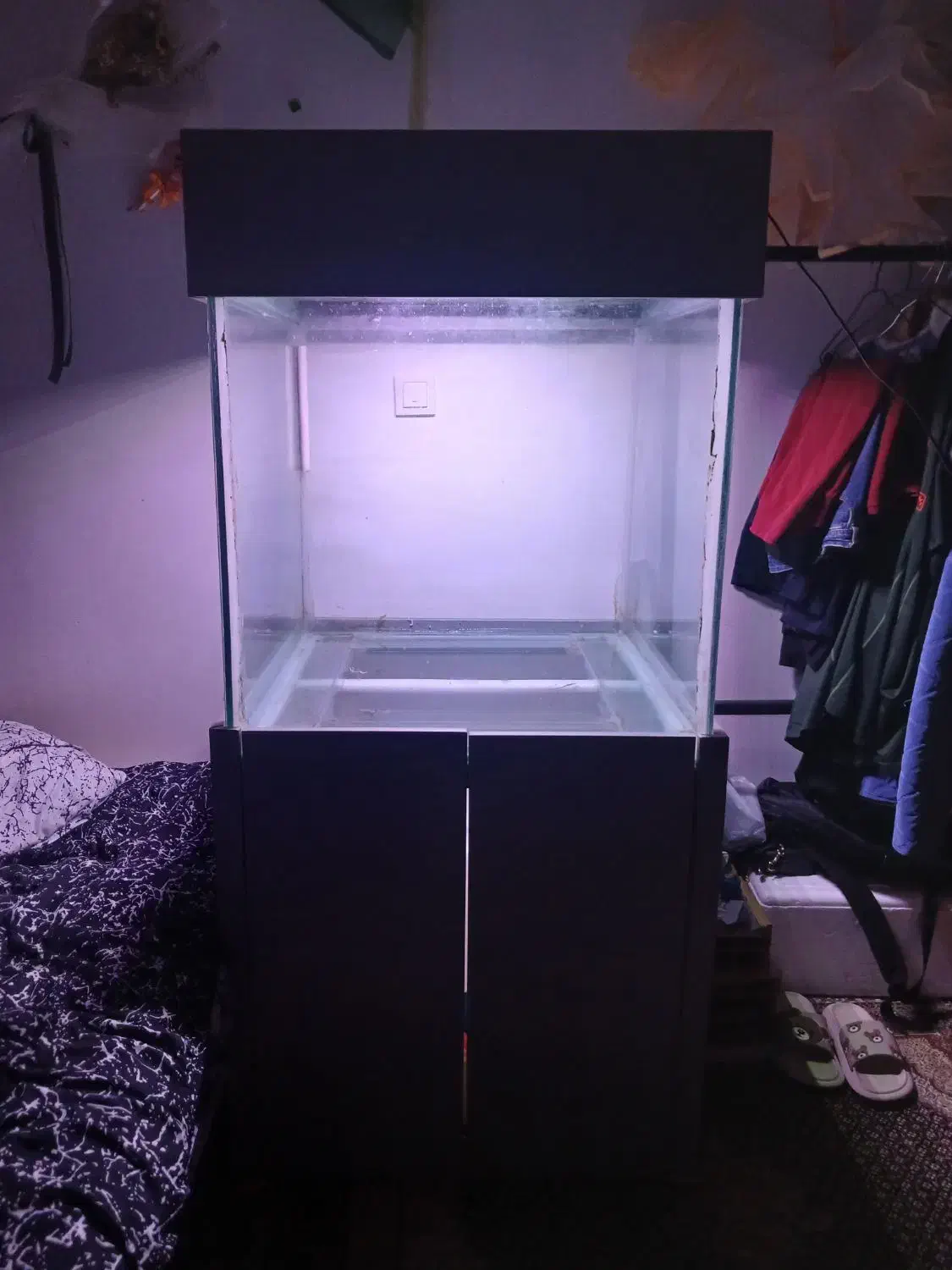 آکواریوم بزرگ|ماهی|بجنورد, |دیوار