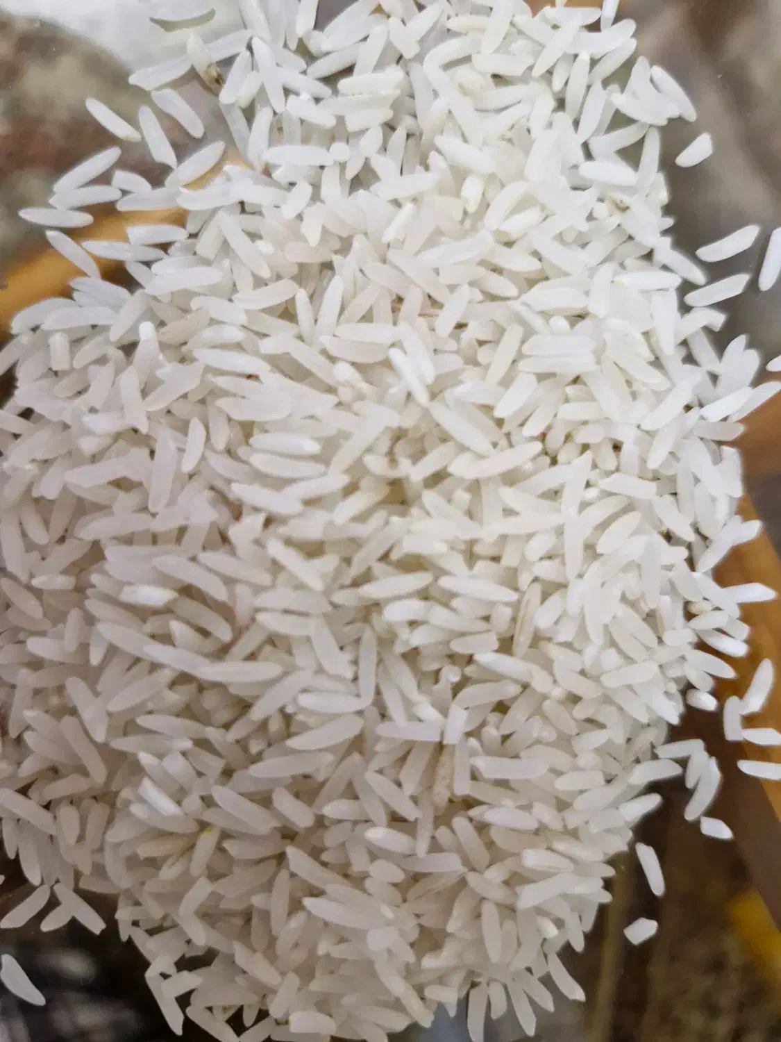 فروش برنج فجر محلی|حراج|نگین شهر, |دیوار