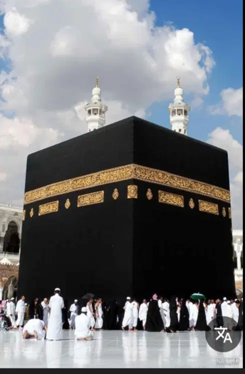 فیش حج|تور و چارتر|الوند, |دیوار