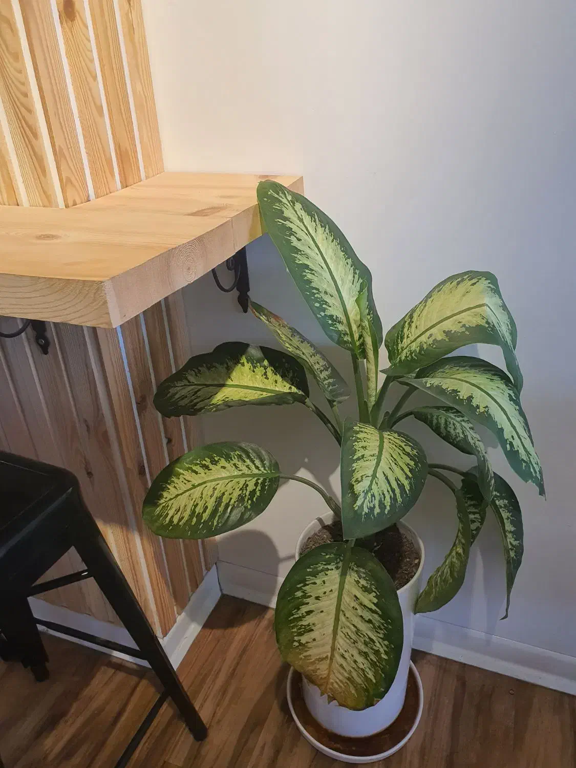 نیروی کار|استخدام خدمات فروشگاه و رستوران|جم, |دیوار