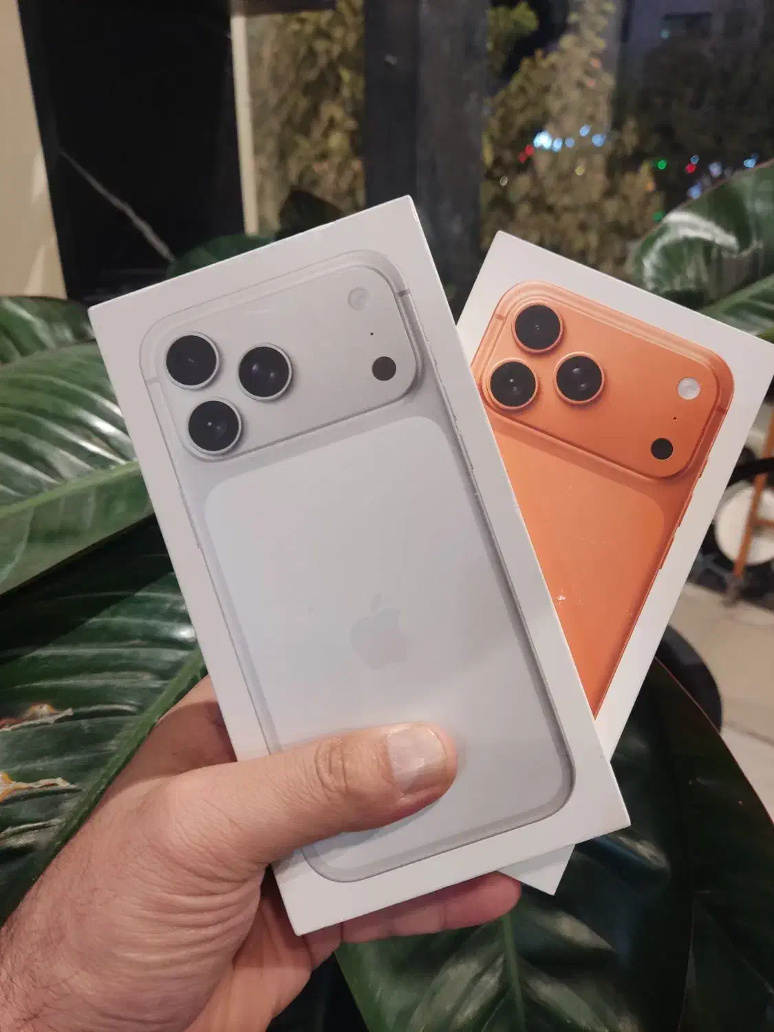 17promax 256Gig|موبایل|مشهد, بهشت|دیوار