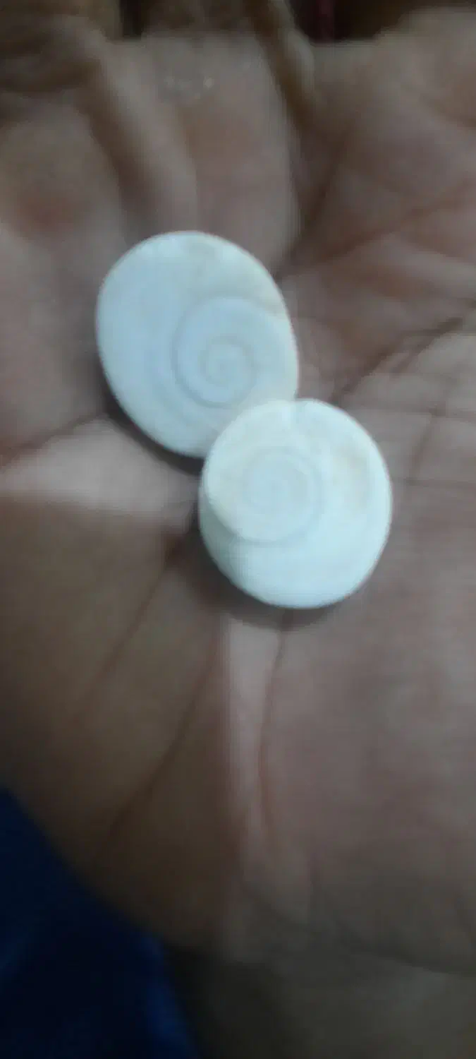 مهره اصل|جواهرات|تهران, افسریه شمالی|دیوار