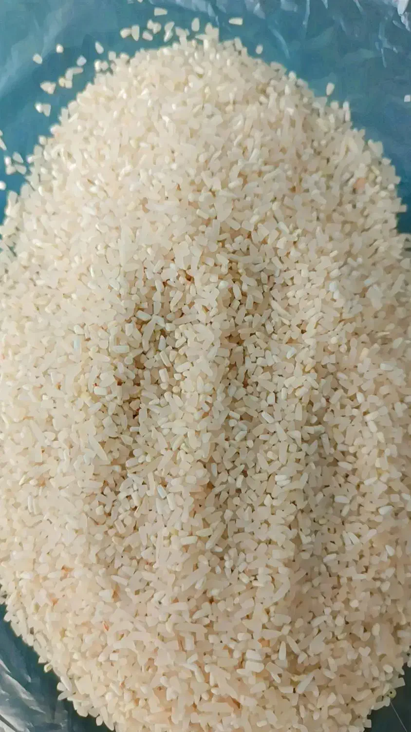 خرید و فروش برنج اهنگرمحله لاشه نیم دانه|خوردنی و آشامیدنی|گرگان, |دیوار