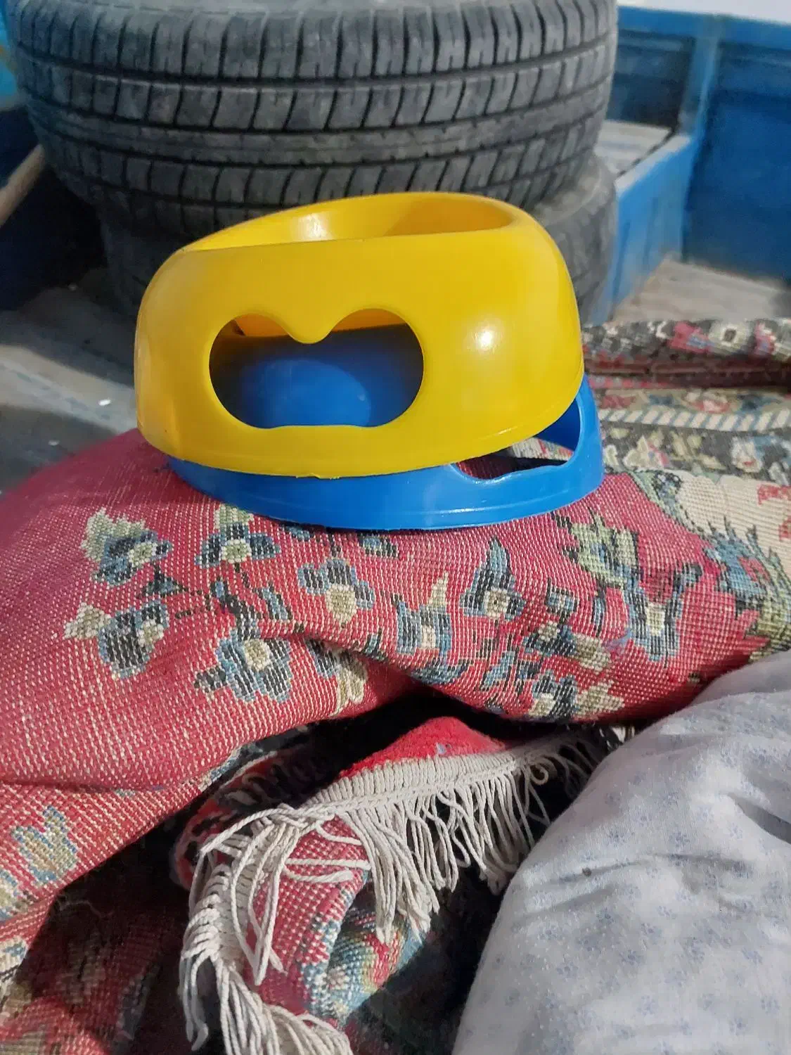 وسایل نگهداری سگ پا کوتاه|لوازم جانبی حیوانات|بجنورد, |دیوار