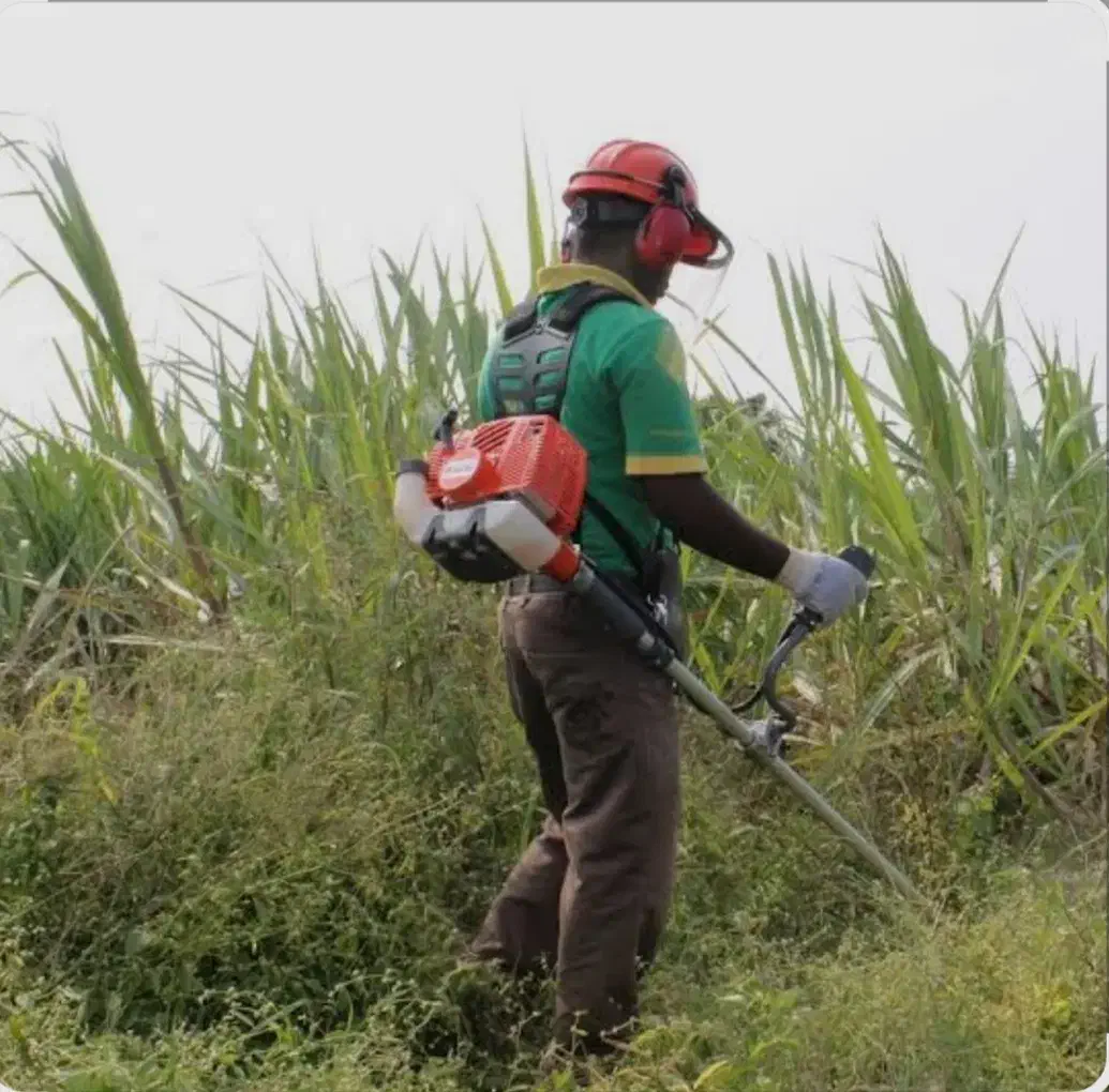 خدمات حرفهای علف تراشی و چمن زنی انزلی|خدمات باغبانی و درختکاری|بندر انزلی, لیچارگی حسن رود|دیوار