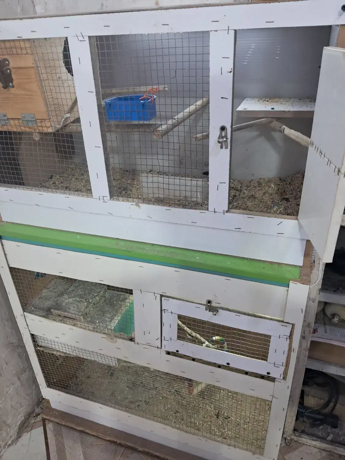 قفس پرنده|لوازم جانبی حیوانات|بندر ماهشهر, |دیوار