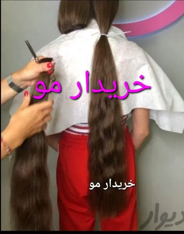 مرکز اصلی مو|آرایشی، بهداشتی، درمانی|رضوانشهر, |دیوار