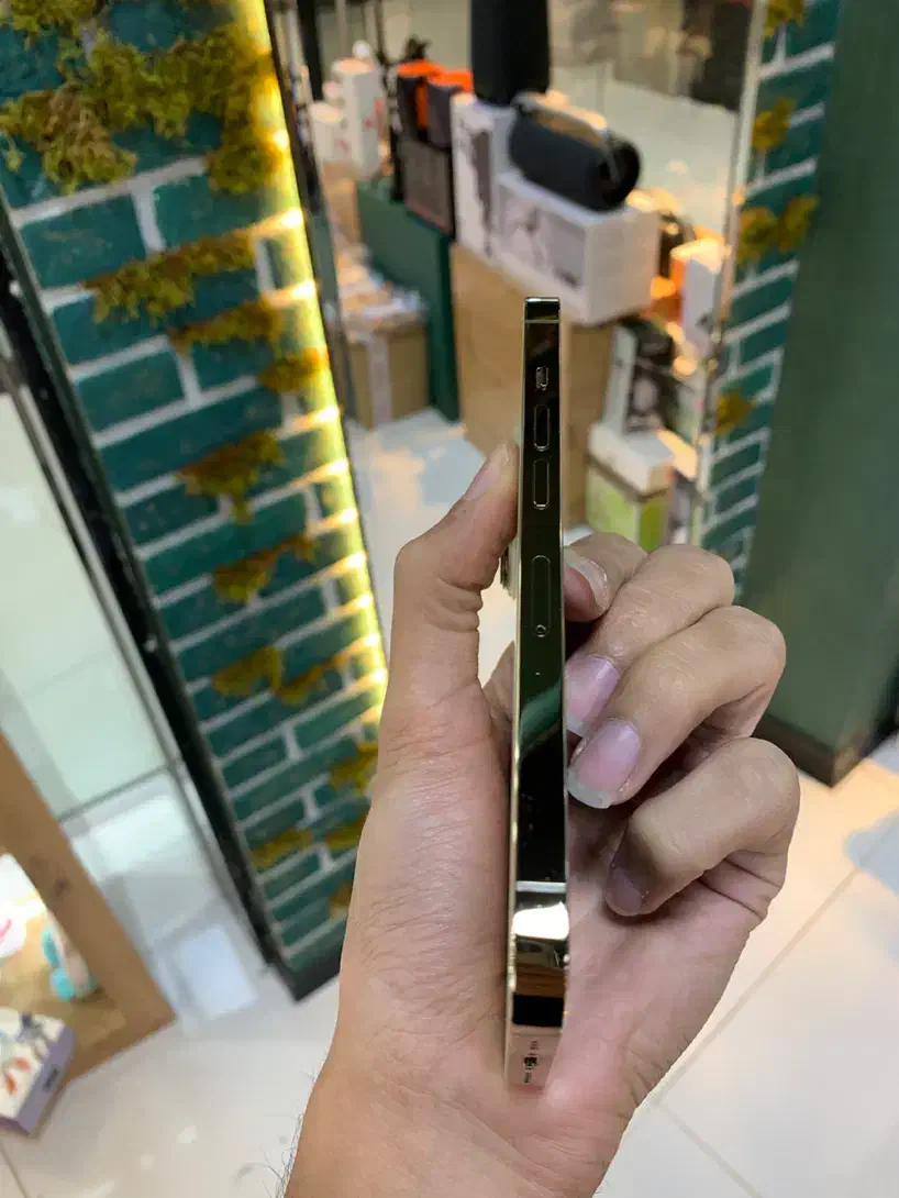 آیفون ۱۳ پرو Iphone13 pro|موبایل|نیشابور, فردوس شمالی|دیوار