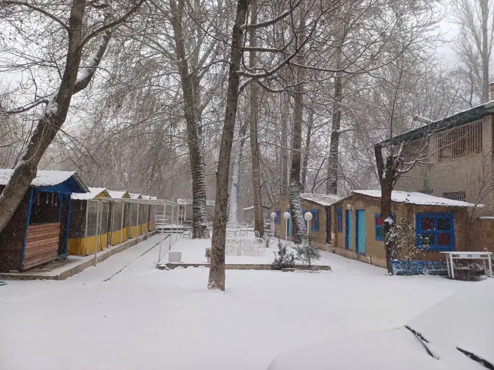 سویت ساعتی جاده چالوس|اجارهٔ کوتاهمدت آپارتمان و سوئیت|کرج, حصار|دیوار