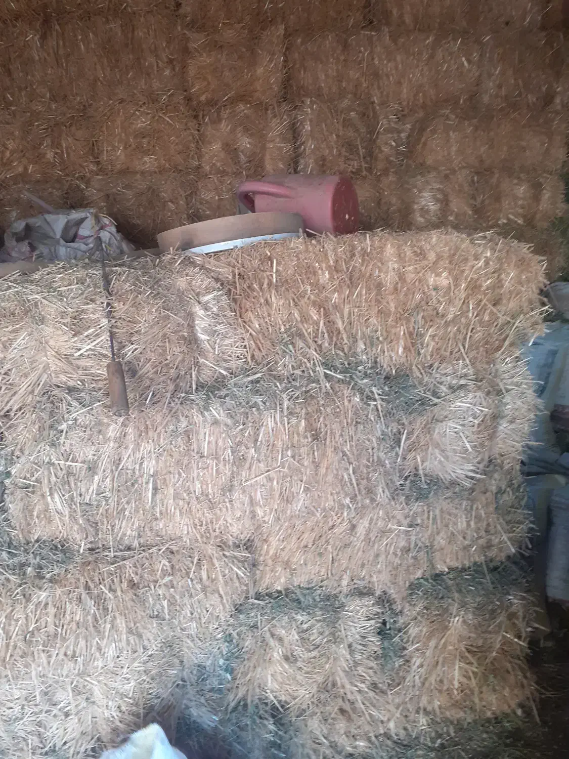 کلش گندم|خدمات باغبانی و درختکاری|قیدار, |دیوار