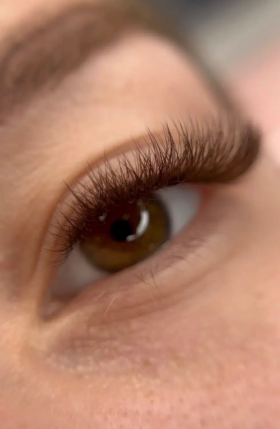 خدمات اکستنشن مژه و لیفت مژه و ابرو با اف ۱۰٪|خدمات آرایشگری و زیبایی|زرقان, |دیوار