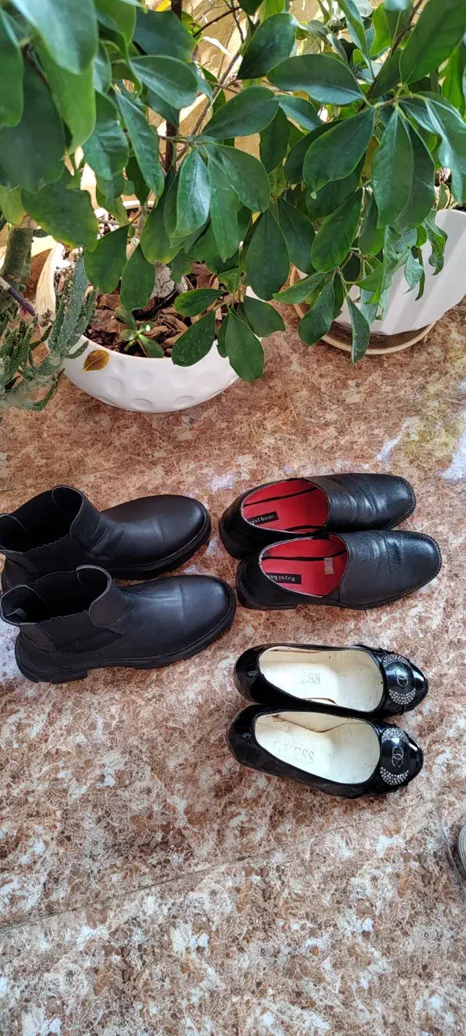 کفش در حد نو|کیف، کفش، کمربند|ساری, |دیوار