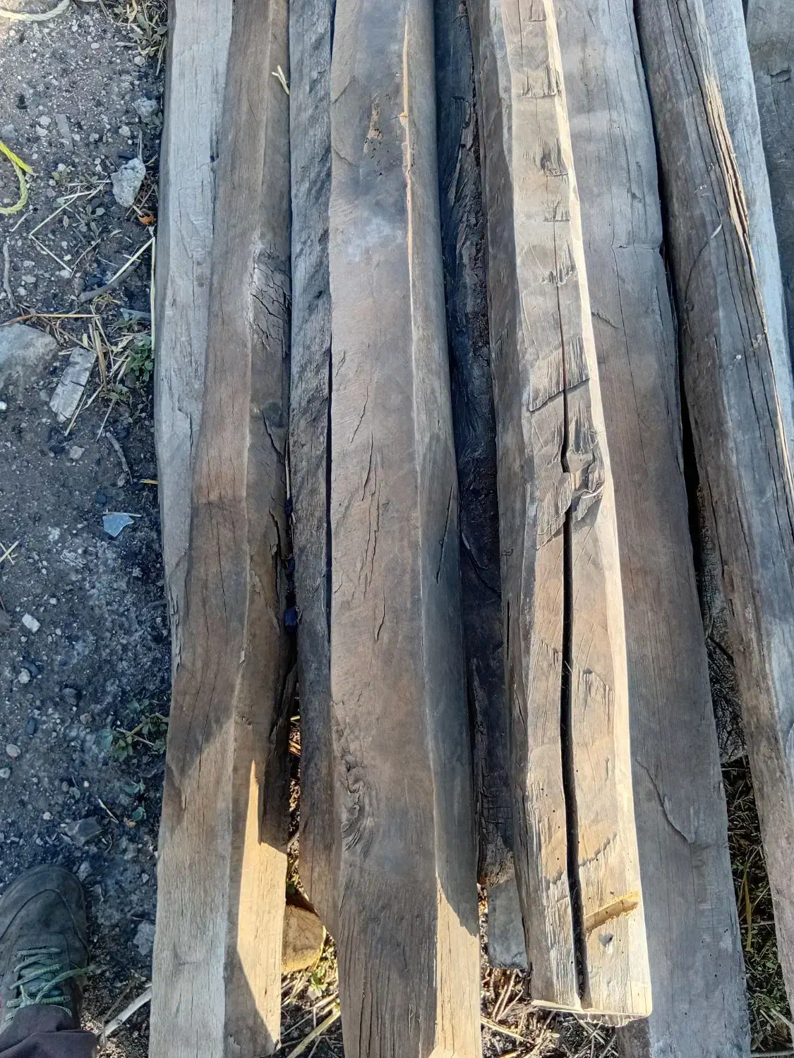 درخت و چوب شما را به روز|خدمات باغبانی و درختکاری|اردبیل, |دیوار