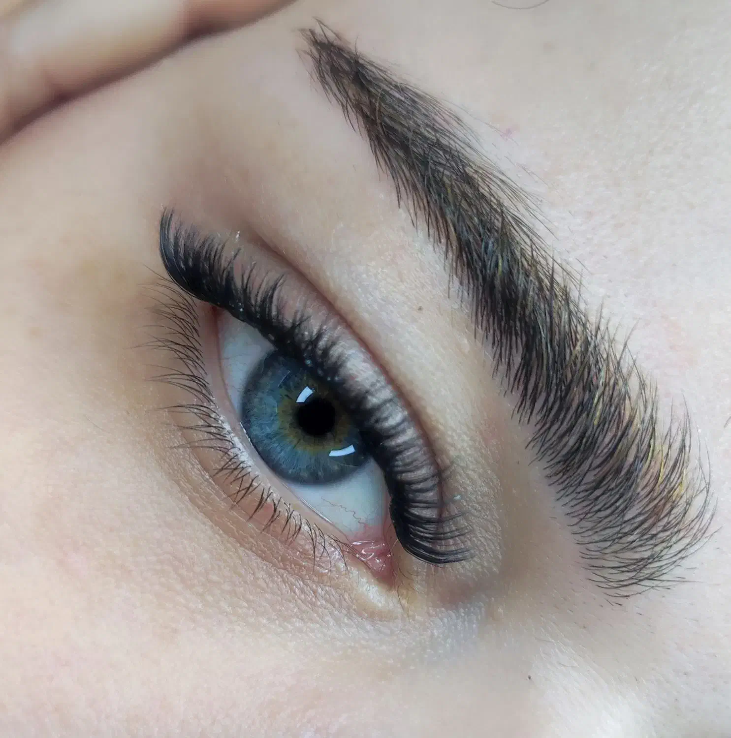 انواع کاشت(تخفیف به مناسبت روزمادر)|خدمات آرایشگری و زیبایی|لنگرود, |دیوار