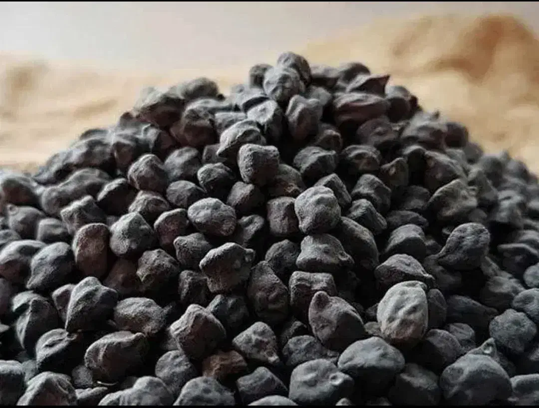 نخود سیاه|خوردنی و آشامیدنی|کنگاور, |دیوار