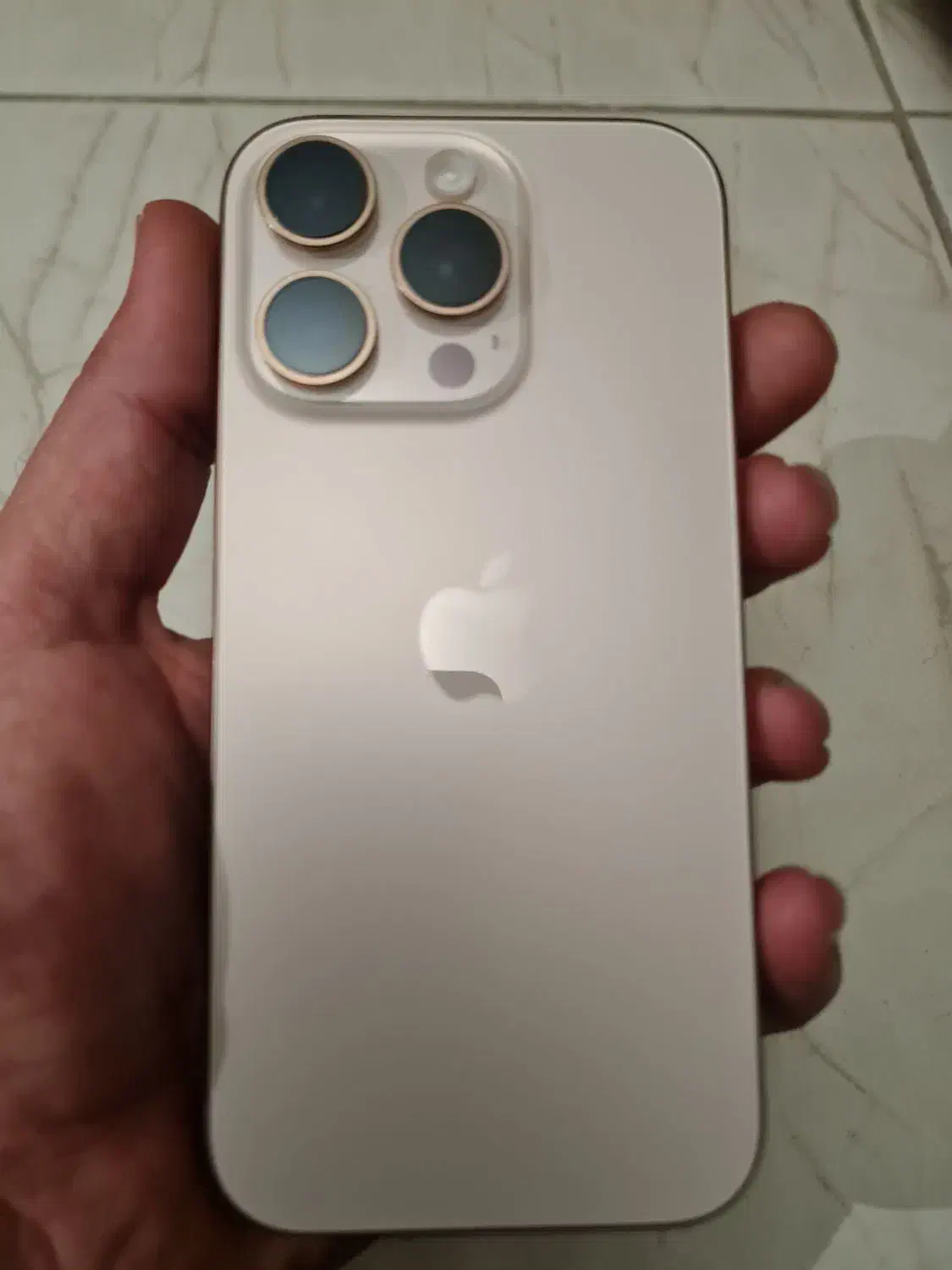 16pro 256 Zaa|موبایل|شیراز, شهرک والفجر|دیوار