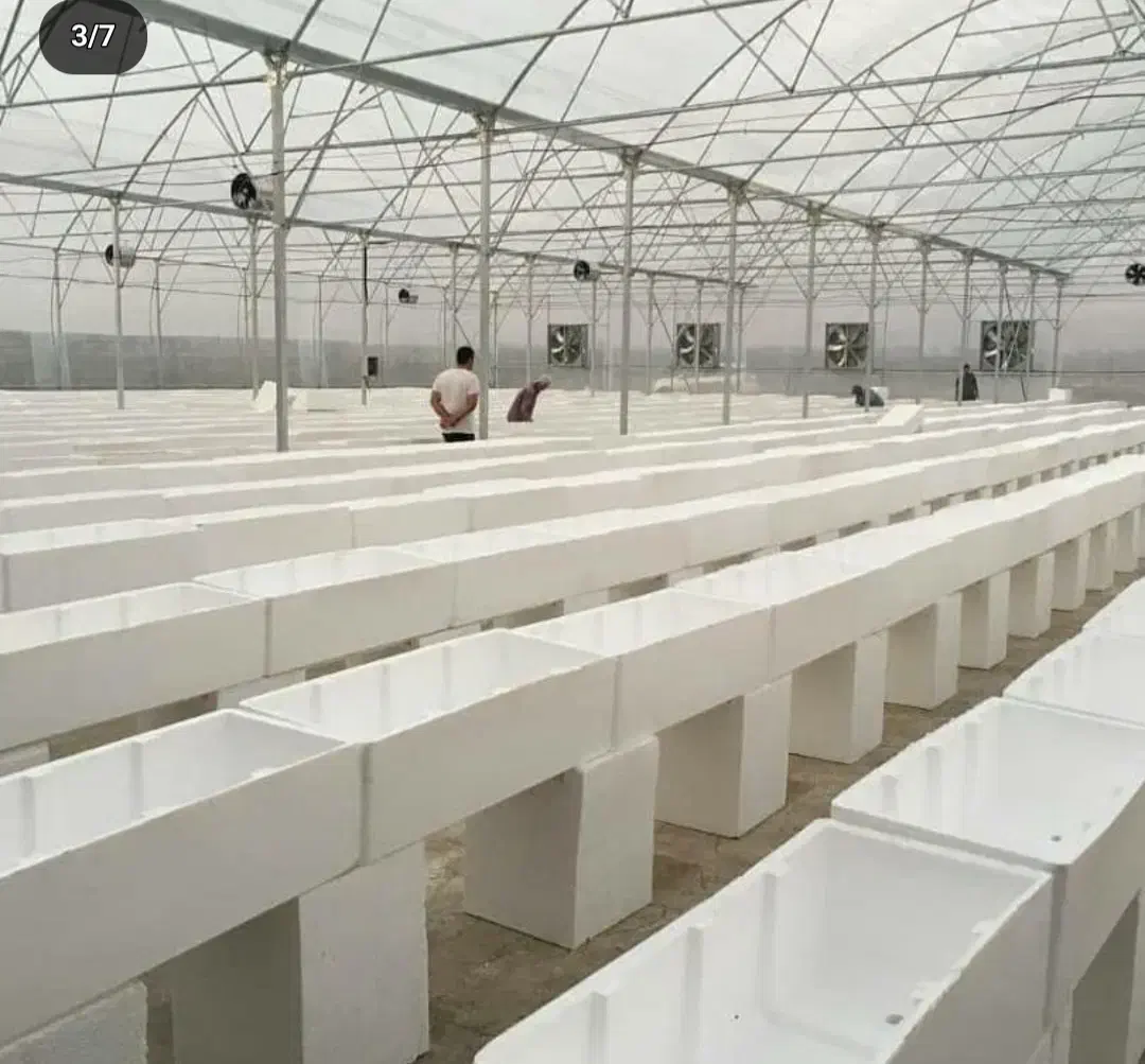 گلخانه سازی|ماشینآلات صنعتی|خرمآباد, |دیوار