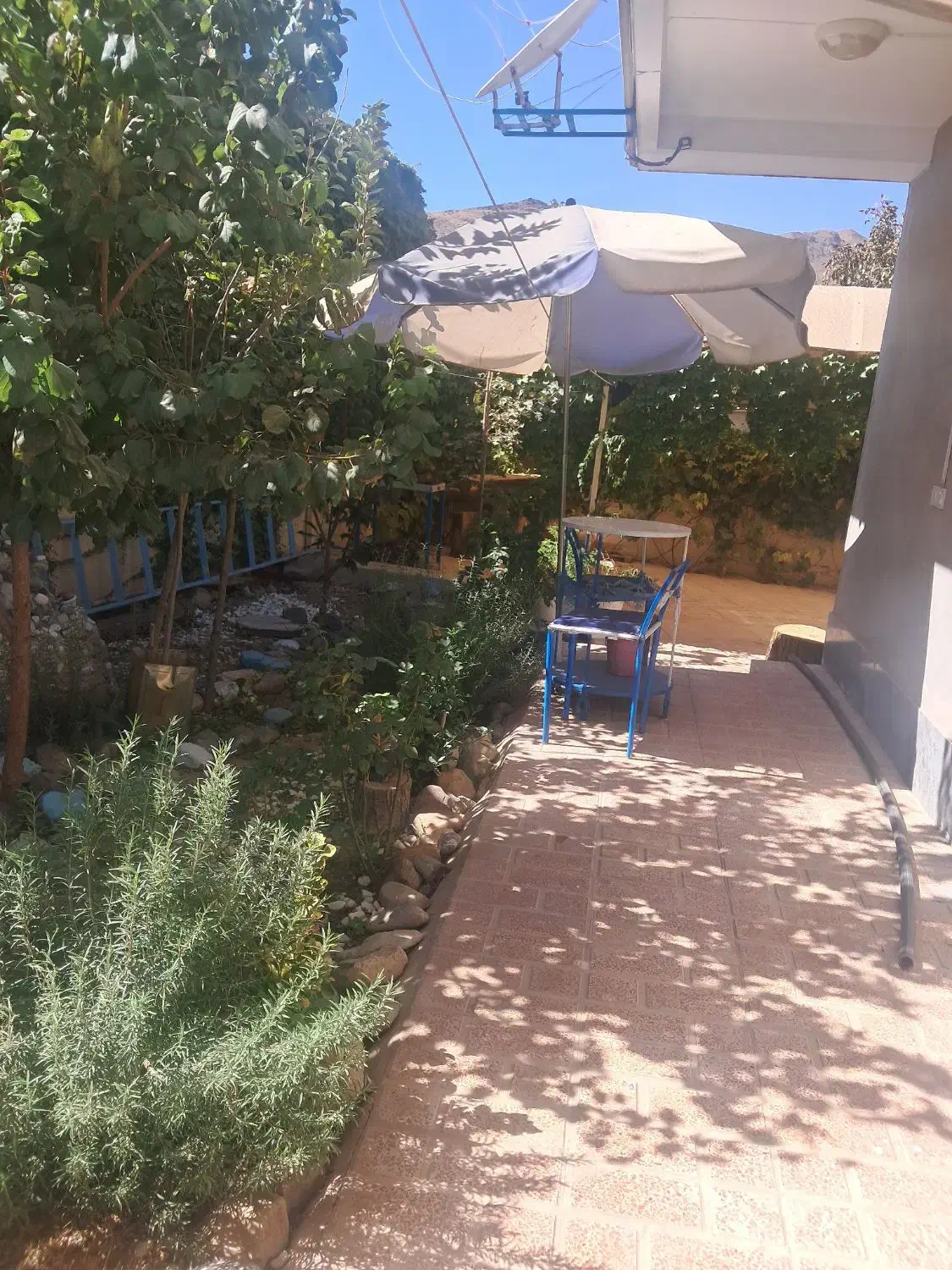 اجاره ی سوییت|اجارهٔ کوتاه‌مدت ویلا و باغ|آبیک, |دیوار