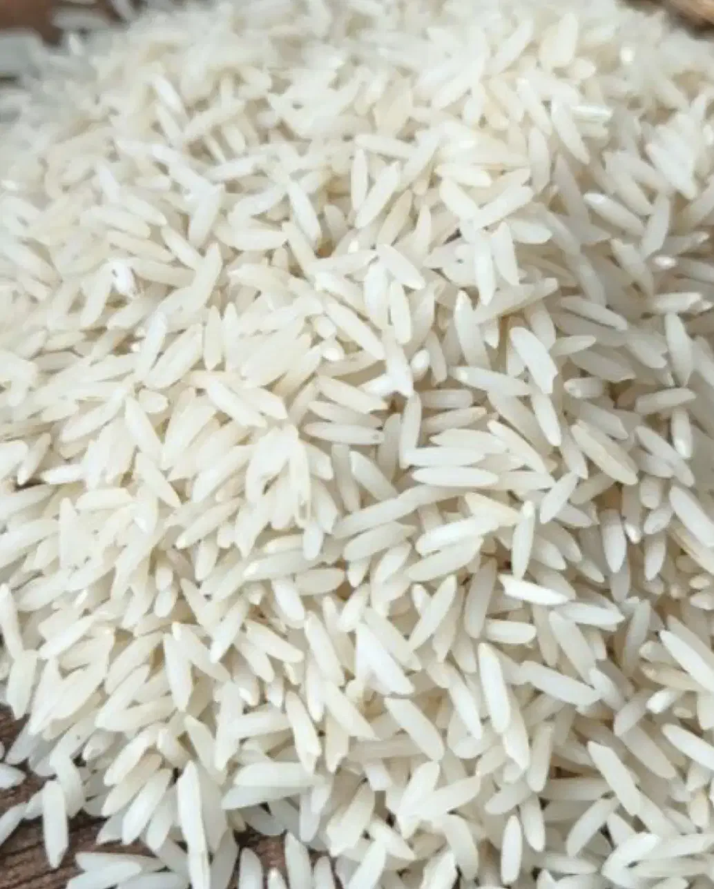 برنج|خوردنی و آشامیدنی|آستانه اشرفیه, |دیوار