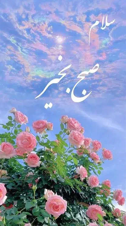 خط همراه اول ۰۹۱۷۵۰۰۹۰۷۳|سیم‌کارت|شیراز, معالی‌آباد|دیوار