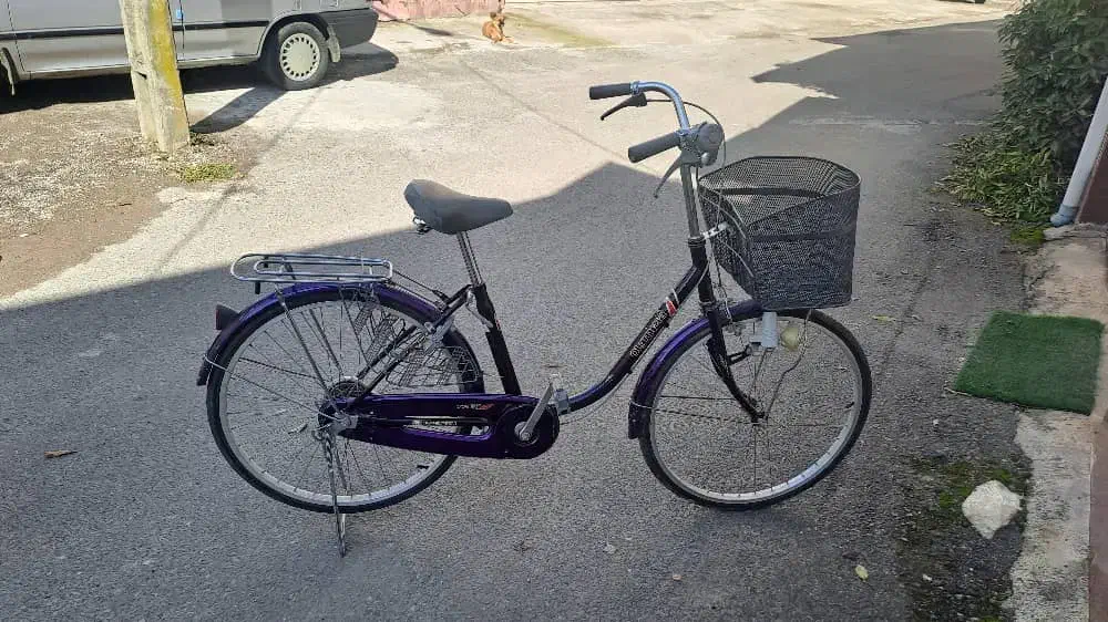 دوچرخه کلاسیک ( آنتیک )|دوچرخه، اسکیت، اسکوتر|رشت, منظریه|دیوار