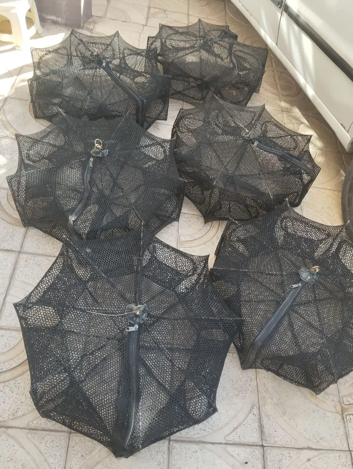 طور ماهیگیری|ماهیگیری|زنجان, |دیوار