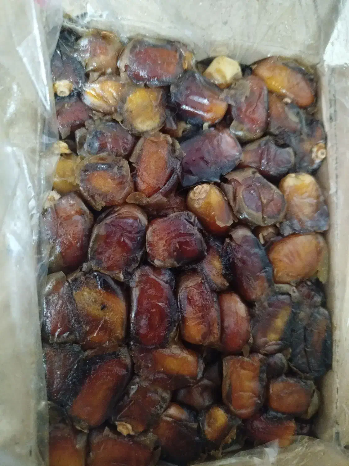 خرمای خاصویی|خوردنی و آشامیدنی|جهرم, |دیوار