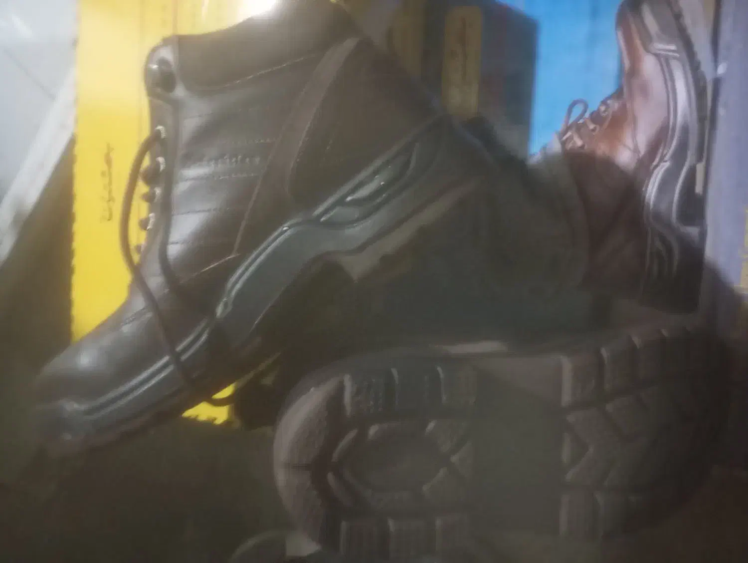 کفش|کیف، کفش، کمربند|دوگنبدان, |دیوار