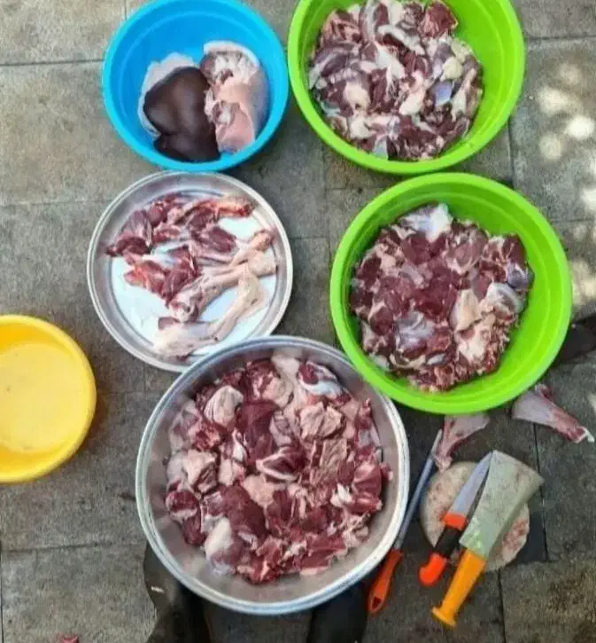 گوسفندصحرا بوده قیمت پایین تر از همه جا بره‌کوهی|حیوانات مزرعه|قم, خاکفرج|دیوار