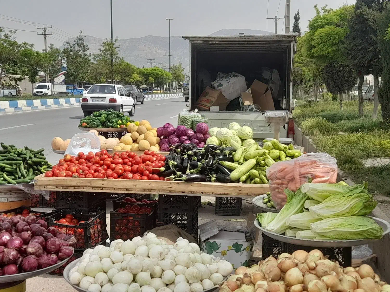 کارگر میوه فروشی|استخدام بازاریابی و فروش|ایلام, |دیوار