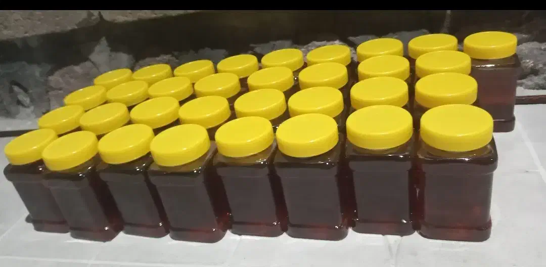 عسل طبیعی دامنه سبلان|عمدهفروشی|مشگین شهر, |دیوار