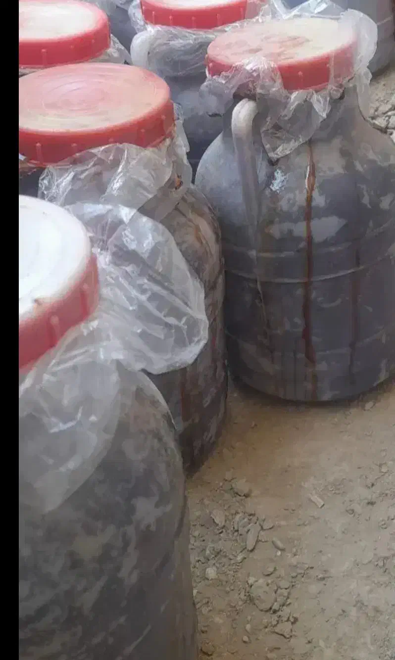 خرمای مضافتی|حراج|چابهار, |دیوار