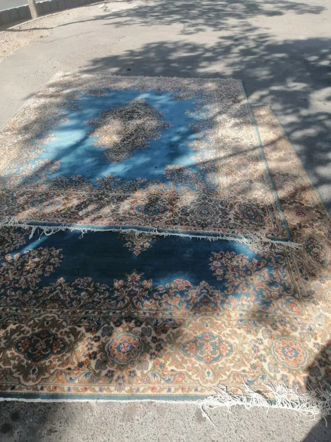 فرش دست بافت|فرش|کرمان, |دیوار